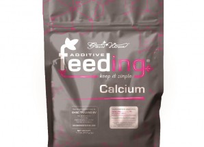 Powder Feeding Calcium 0,5 kg