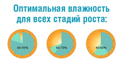 влажность в гроубоксе