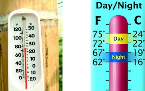 Температура в гроубоксе